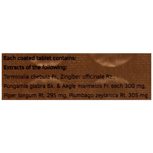 Charak AUTOZYME Tablets - A Natural Remedy To Improve Digestion, 30 Tablets Tablets 