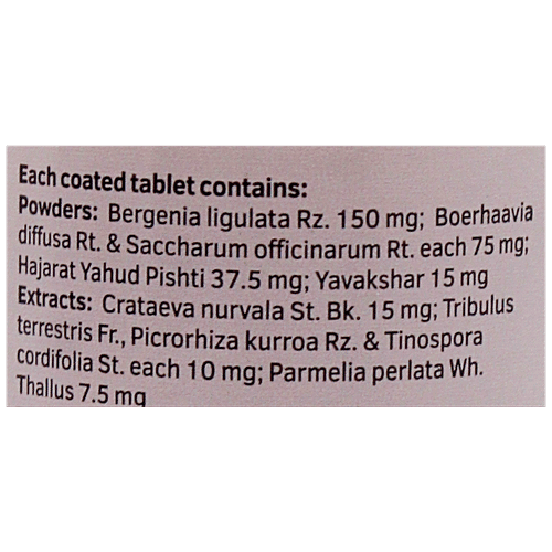 Charak CALCURY Tablets - Flushes Out Calculi & Prevents Recurrence, 40 Tablets Bottle 