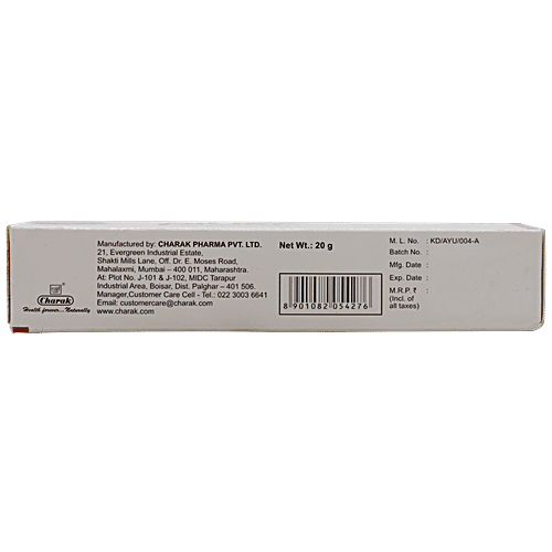 Charak Pilief Ointment - A Topical Formulation To Treat & Prevent Piles, 20 g Tube 