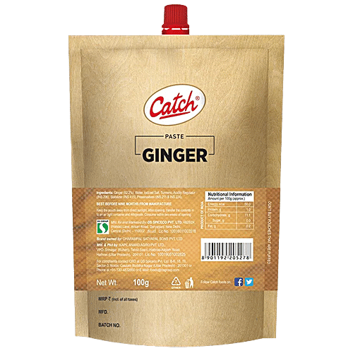Catch Ginger Paste - Thick & Grainy Texture, 100 g Pouch No Added Color, Aroma Protected