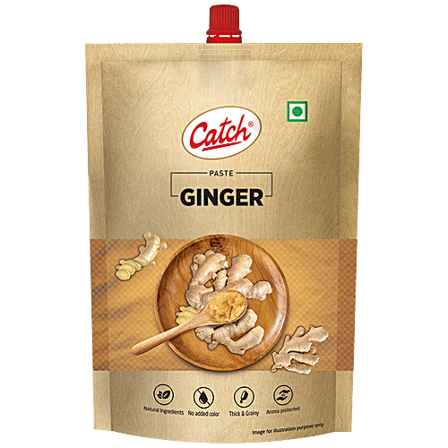 Catch Ginger Paste - Thick & Grainy Texture, 100 g Pouch No Added Color, Aroma Protected