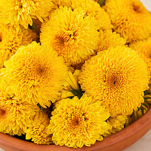 Hoovu Fresh Chrysanthemum/Shevanti Flower, 100 g