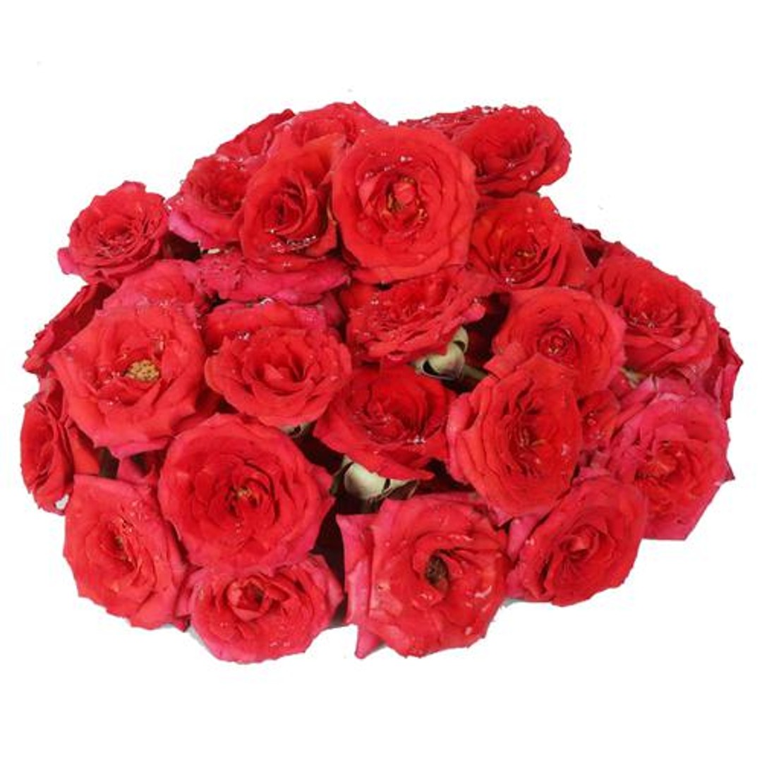 Buy Hoovu Fresh Assorted Roses Puja Flowers Online at Best Price of Rs