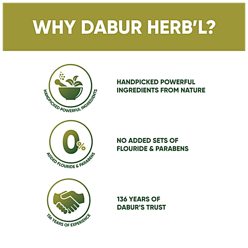 Dabur Herb'l Neem Toothpaste - Germ Protection, Flouride Free, 200 g  0% Added Fluoride & Parabens