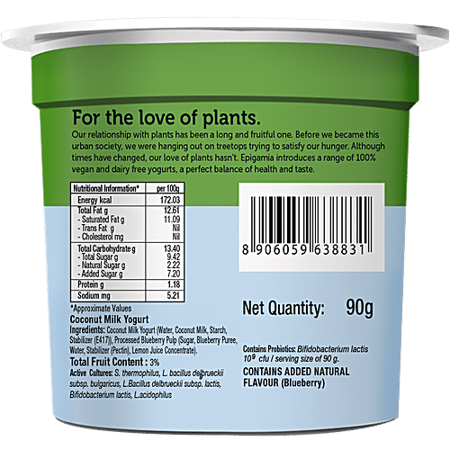 Epigamia  Coconut Milk Yogurt - Blueberry, 90 g  