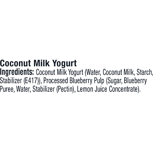 Epigamia  Coconut Milk Yogurt - Blueberry, 90 g  