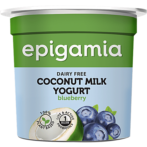 Epigamia  Coconut Milk Yogurt - Blueberry, 90 g  