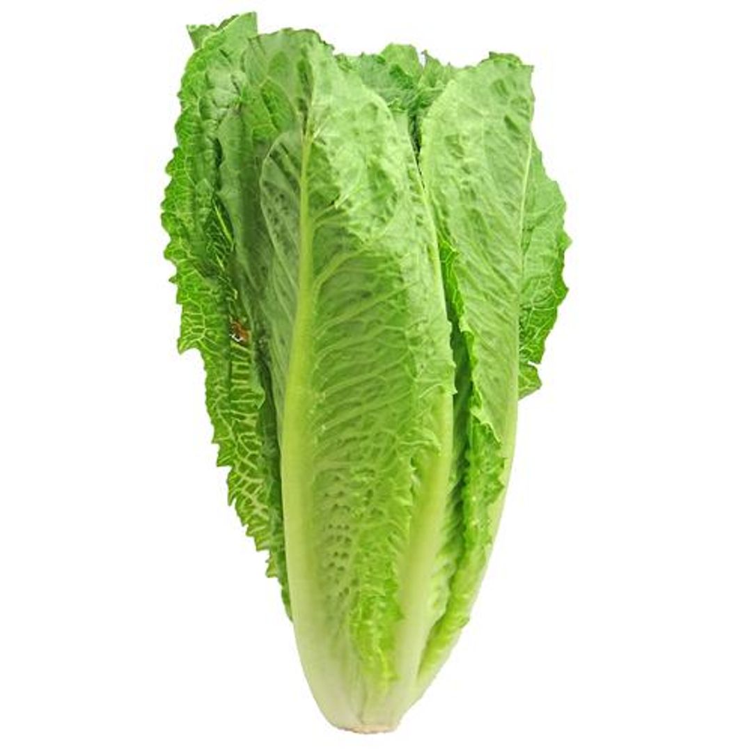 Fresho Romaine Lettuce  - Hydroponically Grown With Live Roots, 125 - 200 g 
