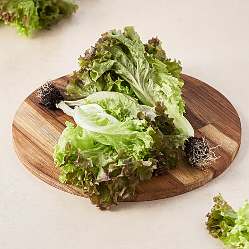 fresho! Lollo Rosso Lettuce - Hydroponically Grown With Live Roots, 1 pc (Approx 125 - 200 g) 
