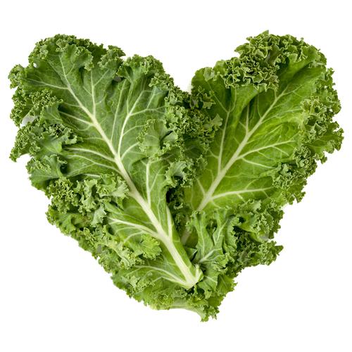 Fresho Kale - Hydroponically Grown, 100 - 125 g  