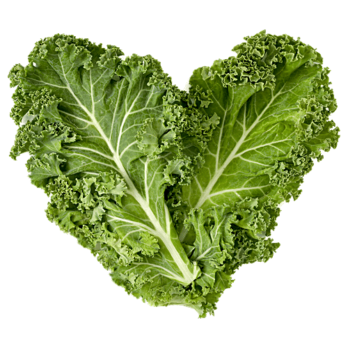 Buy fresho! Kale Hydroponically Grown Online at Best Price of Rs 73