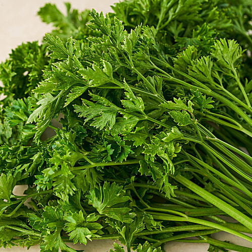 fresho! Parsley - Hydroponically Grown, 100 g  