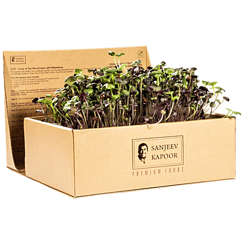 Sanjeev Kapoor UGF Farms Grow To Eat Micro Greens Kit - Salad Mix, 200 g  To Enhance Taste & Nutritive Value