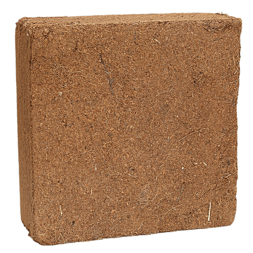 Aaniya Coco Peat, 5 kg  