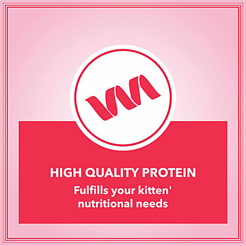 Lets Bite Active Ocean Fish Adult Cat Dry Food, 400 g (Buy 1 Get 1 Free) Control Urinary pH