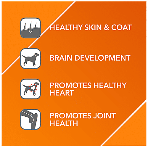 Drools Absolute Salmon Oil Syrup - Dog Supplement, 150 ml Bag Premium Supplement