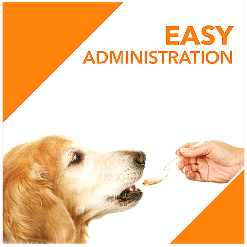 Drools Absolute Salmon Oil Syrup - Dog Supplement, 150 ml Bag Premium Supplement