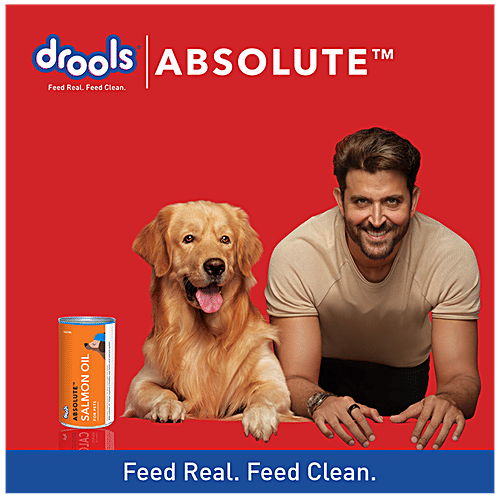 Drools Absolute Salmon Oil Syrup - Dog Supplement, 150 ml Bag Premium Supplement