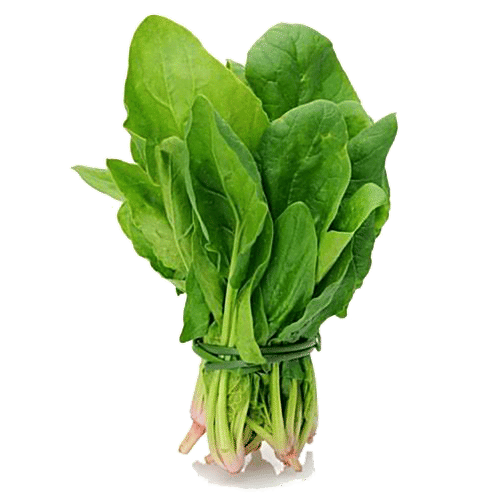 Buy Farmogo Spinach Hydroponically Grown Online at Best Price of Rs