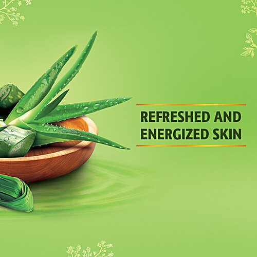 Lever Ayush Cool & Fresh Aloe Vera Soap, 100 g (Pack of 6)