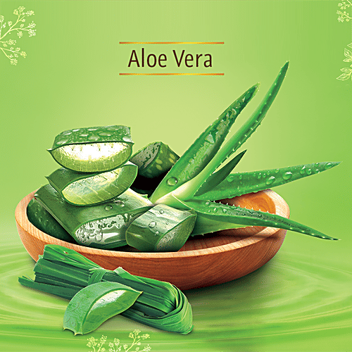 Lever Ayush Cool & Fresh Aloe Vera Soap, 100 g (Pack of 6)