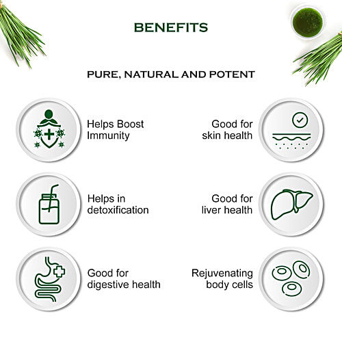 Buy Dabur Wheatgrass Juice 100 Ayurvedic Health Juice For Immunity