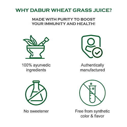Buy Dabur Wheatgrass Juice 100 Ayurvedic Health Juice For Immunity
