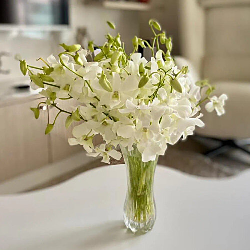 Buy fresho! White Orchids Online at Best Price of Rs 645 bigbasket