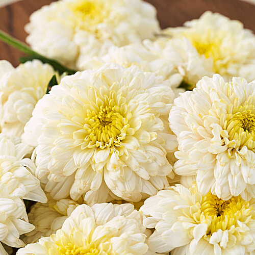 Hoovu Fresh White Sevanthi, 100 g  