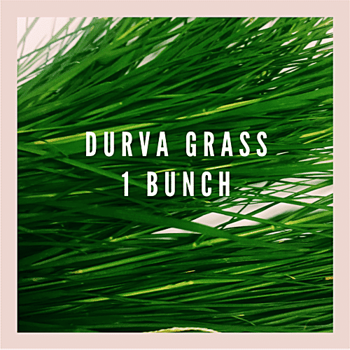 Buy Hoovu Fresh Durva Grass/Garike Online at Best Price of Rs 62
