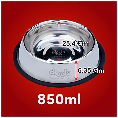 Buy Drools Stainless Steel Dog Feeding Bowl Large Online at Best