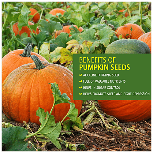 Buy Everyday Four Raw Pumpkin Seeds Online at Best Price of Rs 186 bigbasket