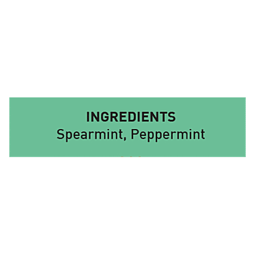 VAHDAM Herbal Tea - Organic Pure Mint, 30 g (15 Pyramid Bags x 2 g each) 