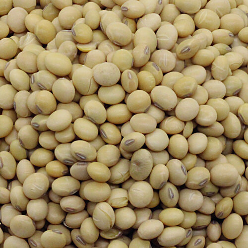 bb Royal Organic - Lobia/Alasandee Kaalu, White, 1 kg  GMO Free, Synthetic Pesticide Free