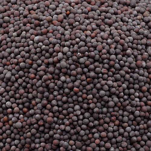 bb Royal Organic - Mustard/Avalu Big, 500 g  