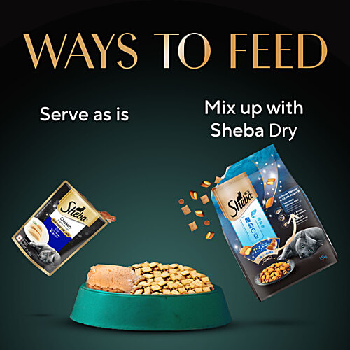 Sheba Fine Premium Adult 1+ Years Wet Cat Food - Chicken Premium Loaf, 70 g High-Moisture Wet Cat Food, Premium Cat Food, Real Chicken Recipe