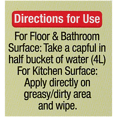 BB Home Disinfectant Floor Cleaner - Pine, 1 L  
