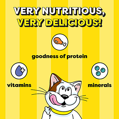 Temptations Crunchy Cat Treats - Tasty Chicken Flavour, 85 g  Goodness of Protein, Vitamins & Minerals