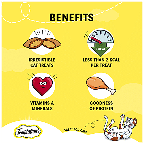 Temptations Cat Treat - Tempting Tuna Flavour, 85 g  