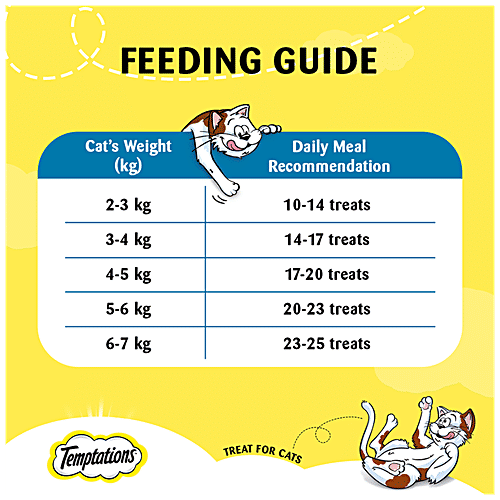 Temptations Cat Treat - Savoury Salmon Flavour, 85 g  