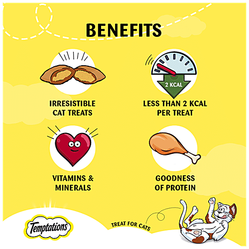 Temptations Cat Treat - Savoury Salmon Flavour, 85 g  