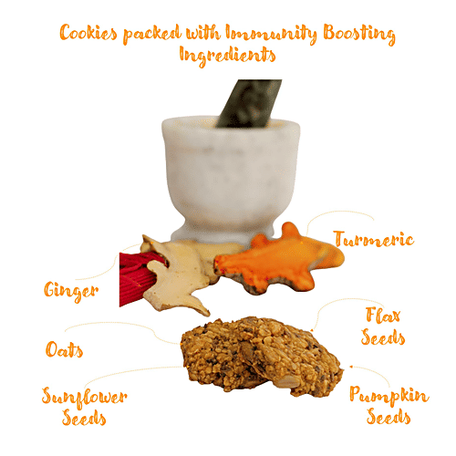 The Snack Company Ginger Turmeric Cookie, 105 g  