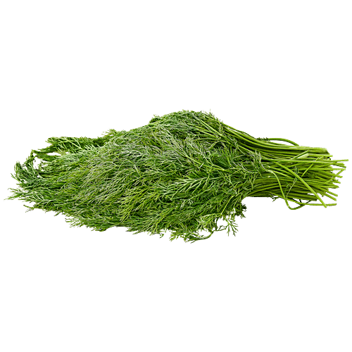 fresho! Dill Leaves, 100 g  Rich in Nutritional Value