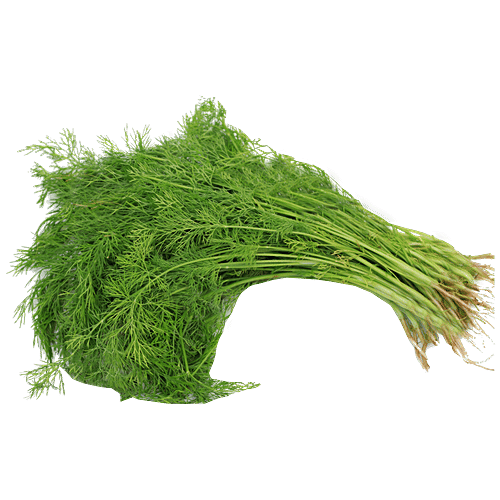 Buy Fresho Dill Leaves Online at Best Price of Rs 17 bigbasket