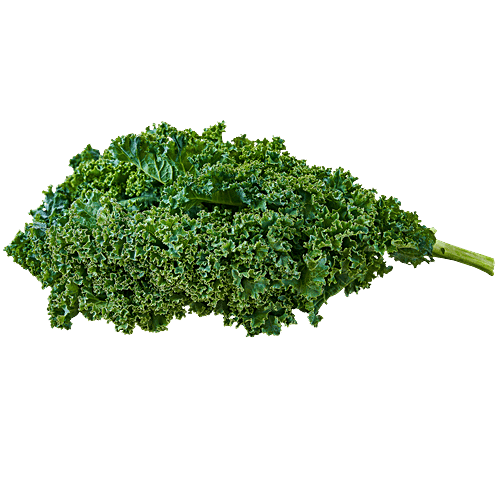 fresho! Kale, 100 g  