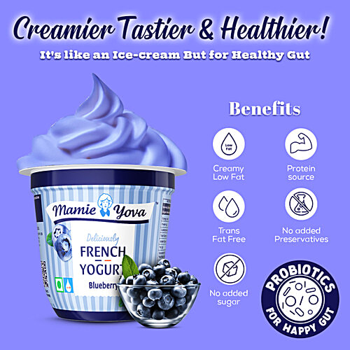 Mamie Yova French Yogurt - Blueberry, 90 g Cup