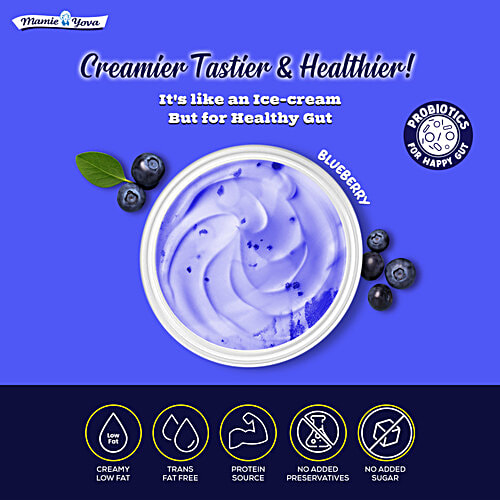 Mamie Yova French Yogurt - Blueberry, 90 g Cup