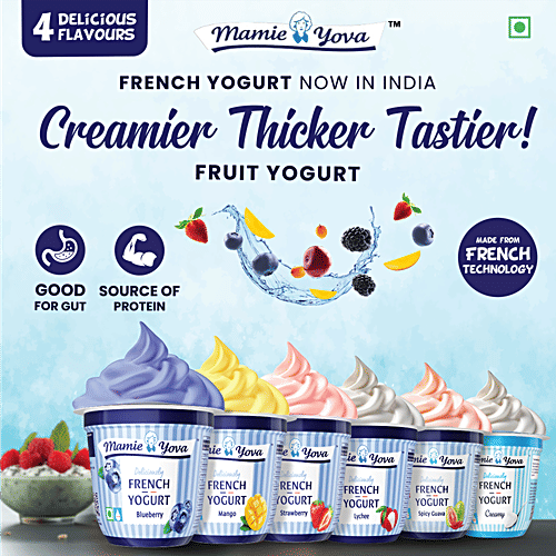 Mamie Yova French Yogurt - Blueberry, 90 g Cup