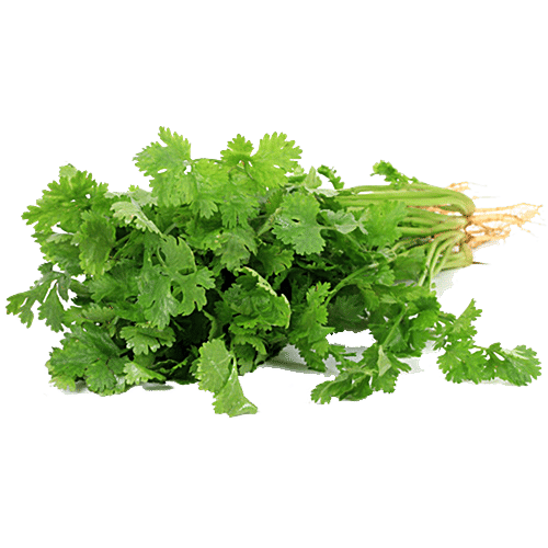 Buy Fresho Coriander Leaves 50 g+Chilli Green Long 50 g Online at Best