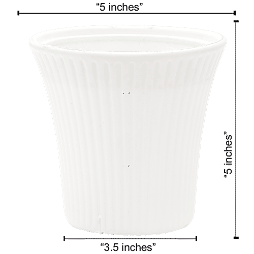 Natures Plus Sunrise Pot - 5 Inch, White, 5 x 3.5 x 5  